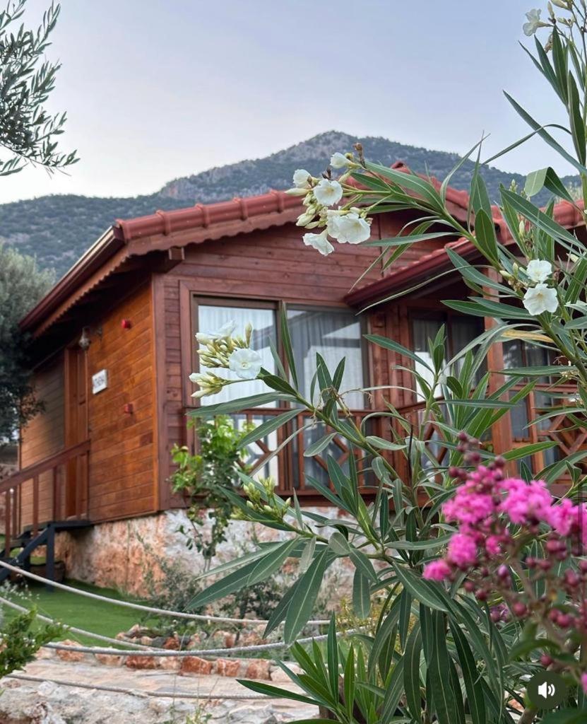 Doganin Ruhu Hotel & Bungalow Kaş Esterno foto