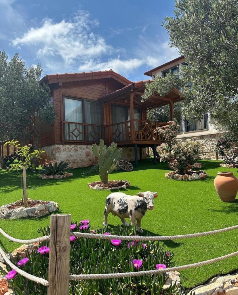 Doganin Ruhu Hotel & Bungalow Kaş Esterno foto