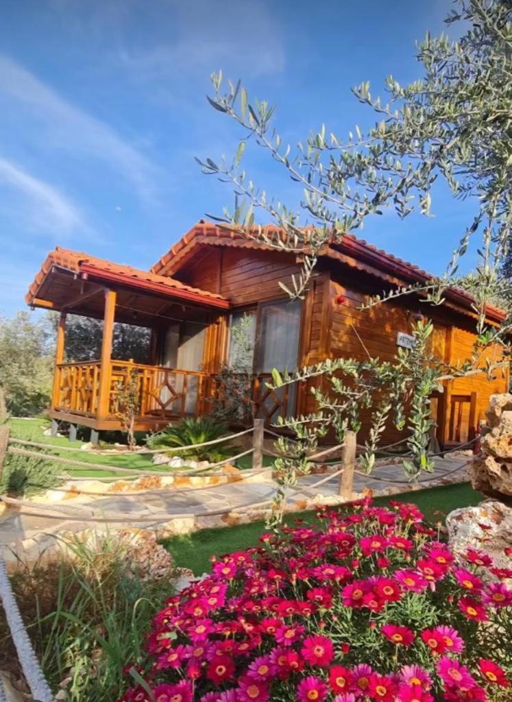 Doganin Ruhu Hotel & Bungalow Kaş Esterno foto