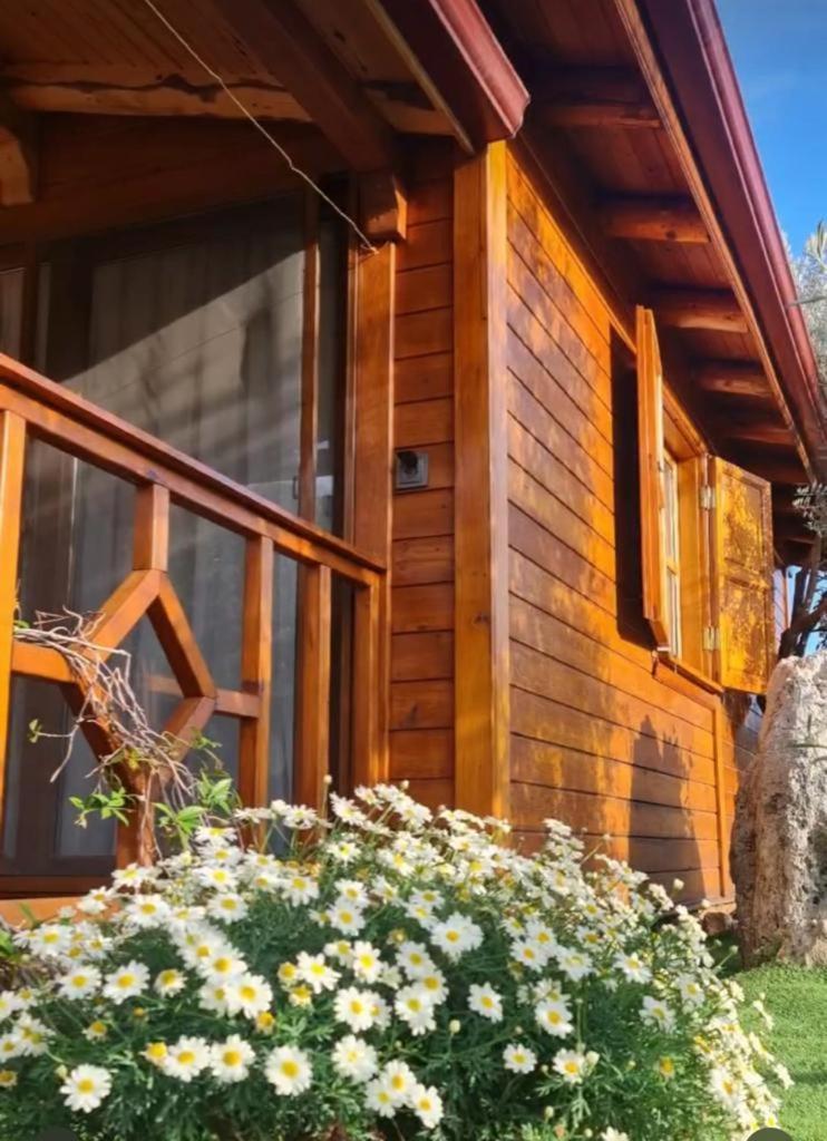 Doganin Ruhu Hotel & Bungalow Kaş Esterno foto